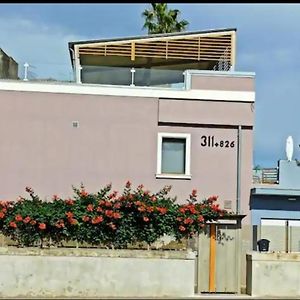 CaselloA Suites