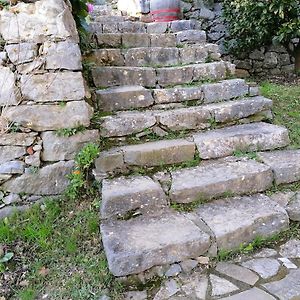 Tenuta di Venere